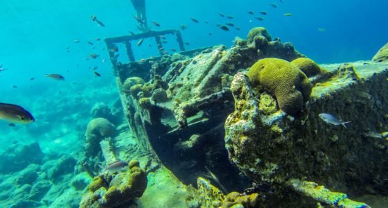 Duiken op Bonaire