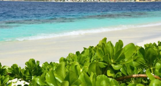 De beste stranden van Bonaire